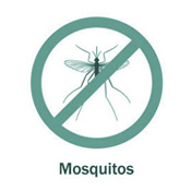 icon_mosquitos icon_mosquitos